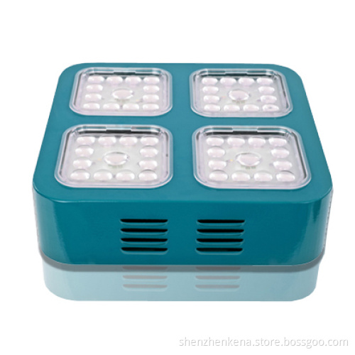 LED Grow Light in Shenzhen Grow Light 140W LED Grow Light